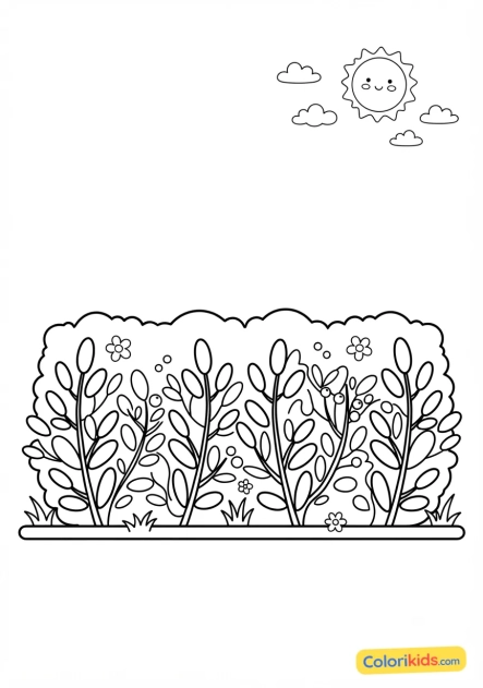 Coloriage à imprimer : haie de lauriers
