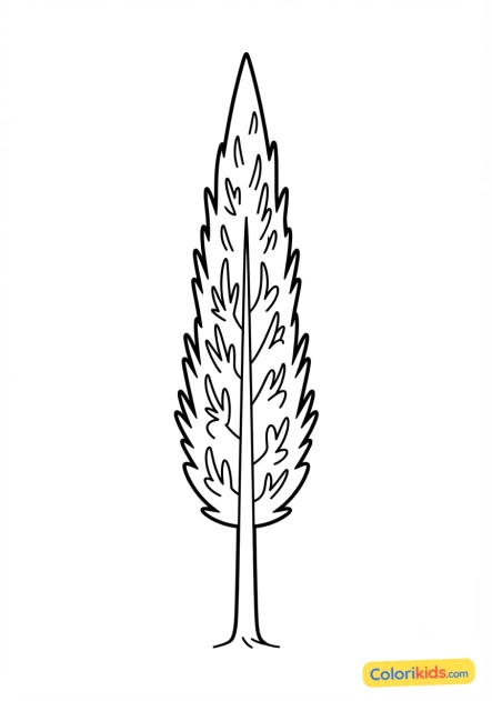 Coloriage à imprimer : cyprès élancé