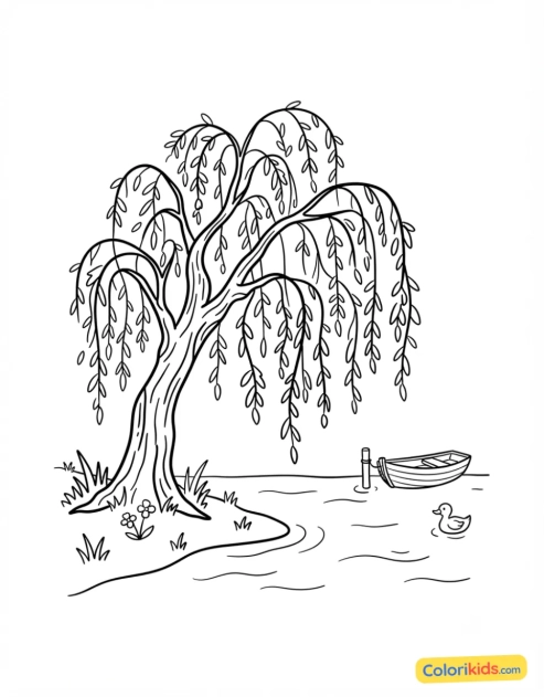 Coloriage à imprimer : saule pleureur au bord de l'eau