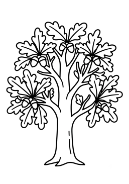 Coloriage Chêne majestueux avec des glands