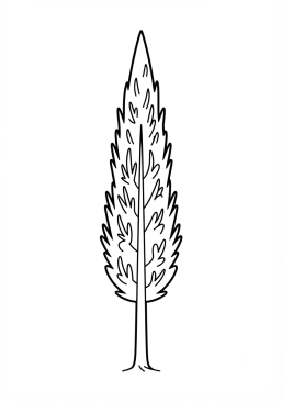Coloriage Cyprès élancé