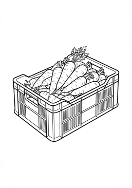 Voir le coloriage Caisse en plastique remplie de carottes fraîchement lavées