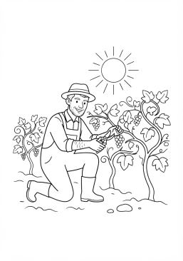 Voir le coloriage Viticulteur taillant les vignes de son vignoble baigné de lumière