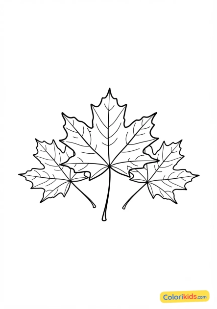 Coloriage à imprimer : feuilles d'érable séchées pour herbier