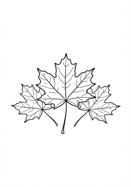 Coloriage Feuilles d'érable séchées pour herbier